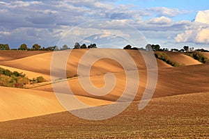 Autumn in brown undulating fields of South Moravia.