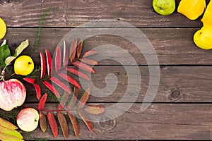 Autumn brown wooden background with copy space