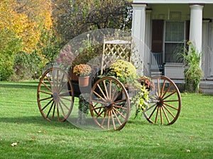 Autumn buckboard