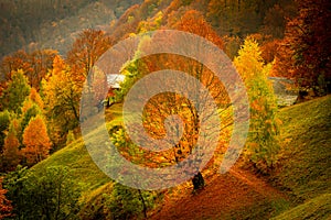 Autumn in Buila Vanturarita National Park, Carpathian Mountains, Romania