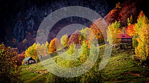 Autumn in Buila Vanturarita National Park, Carpathian Mountains, Romania