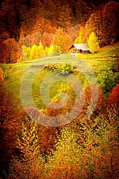 Autumn in Buila Vanturarita National Park, Carpathian Mountains, Romania