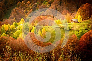 Autumn in Buila Vanturarita National Park, Carpathian Mountains, Romania