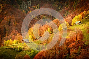 Autumn in Buila Vanturarita National Park, Carpathian Mountains, Romania