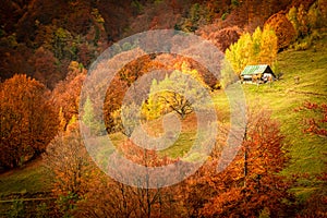 Autumn in Buila Vanturarita National Park, Carpathian Mountains, Romania