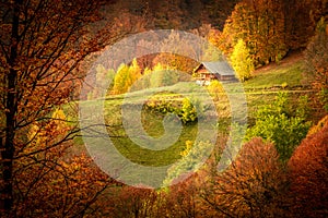 Autumn in Buila Vanturarita National Park, Carpathian Mountains, Romania