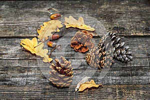 Autumn, bumps, yellow leaves, acorns on a wooden table