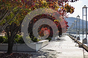 Autumn. Burley Griffin Lake. Canberra. Australia