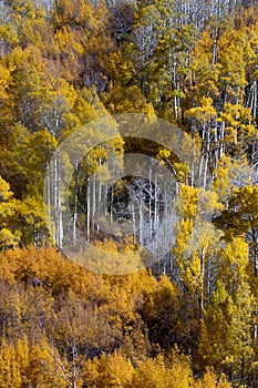 Autumn in California