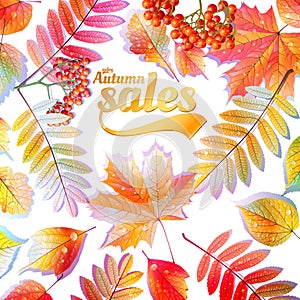 Autumn Calligraphy sale on detailed leafs.