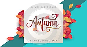 Autumn calligraphy. Seasonal lettering.web banner template.