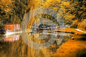 Autumn Canal