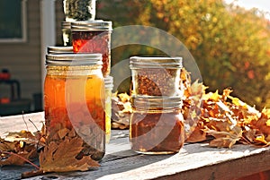 Autumn Canning