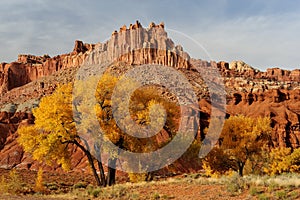 Autumn at the Capitol Reef photo