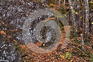 Autumn at Carlton Peak of the Sawtooth Mountains in Northern Minnesota on the North Shore of Lake Superior