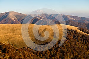 Autumn in Carpathian Biosphere Reserve