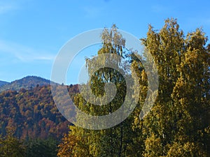 Autumn in Carpathians