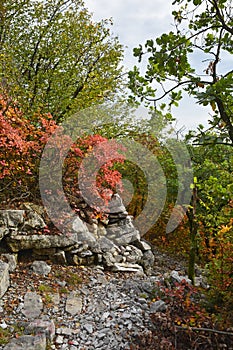 Autumn in the Carso photo