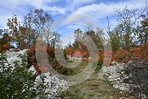 Autumn Carso Near Aurisina photo