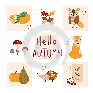 Autumn cartoon illustration template with hand drawn elements