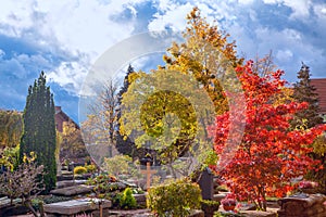 Autumn in cemetery