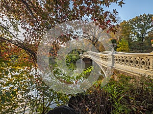 Autumn in Central Park at the Bow bridge