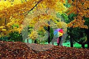 Autumn in central park, manhattan, new york photo