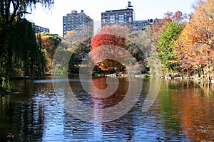 Autumn in central park, New York