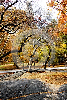 Autumn in Central Park, New York City