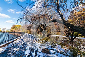 Autumn in Central Park in NY, USA