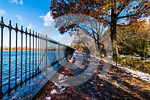 Autumn in Central Park in NY, USA