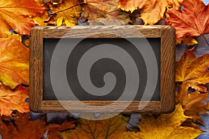 Autumn Chalkboard And Leaves on wood blue background (top view)