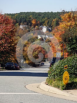 Autumn in Chapel Hill, North Carolina photo