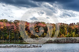 Autumn on a Chesapeake Bay Lake