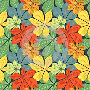 Autumn chestnut's leaves