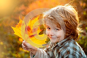 Autumn child dream. Child dreaming and holding autumn leaves.