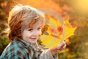 Autumn child dream. Child dreaming and holding autumn leaves.