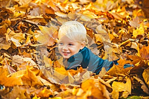 Autumn child have fun and lying on fallen golden leaves, leaf fall.