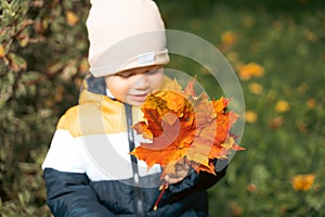 Autumn child portrait In fall yellow and red leaves. Little boy playing in autumn day. Beautiful kid in park outdoor