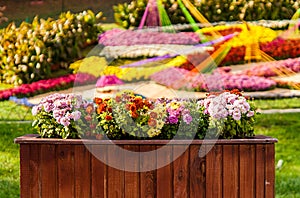 Autumn Chrysanthemum Exhibition in Kiev, Ukraine, 2016