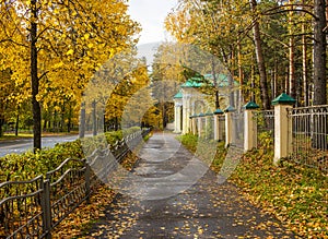 Autumn city landscape.