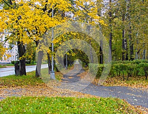 Autumn city landscape.