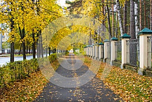 Autumn city landscape.