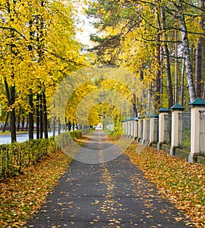 Autumn city landscape.