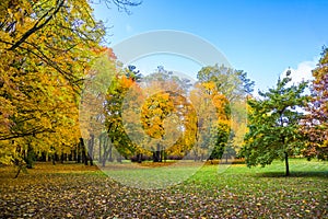 Autumn city park