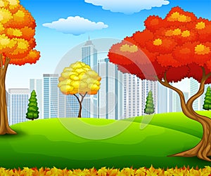 Autumn city park with building background