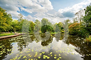 Autumn city park. Japanese garden in Wroclaw, Poland