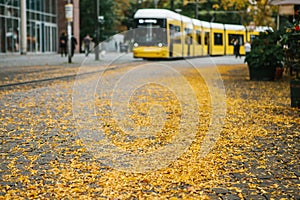 Autumn city scene. Selective focus on yellow foliage on the road. The tram is blurred in the background.