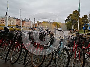 Autumn City Street Sport Bicycle Health