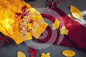 Autumn clothes. Yellow and burgundy sweater covered with leaves and berries. Flat lay, top view